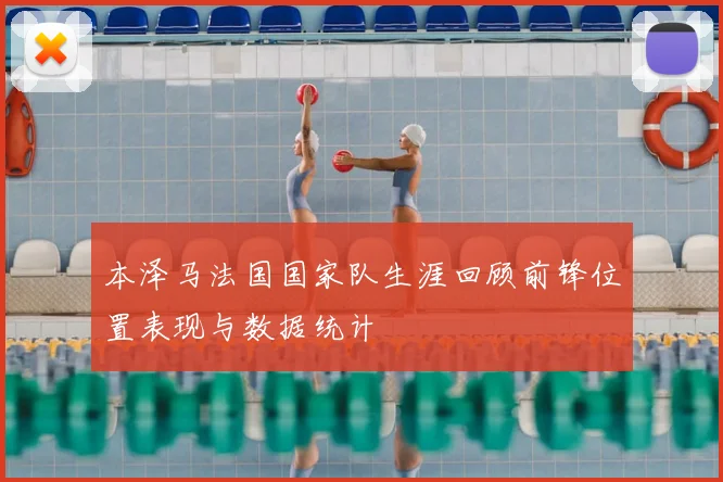 本泽马法国国家队生涯回顾前锋位置表现与数据统计