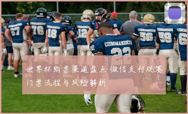 世界杯购票渠道盘点 微信支付观赛门票流程与风险解析