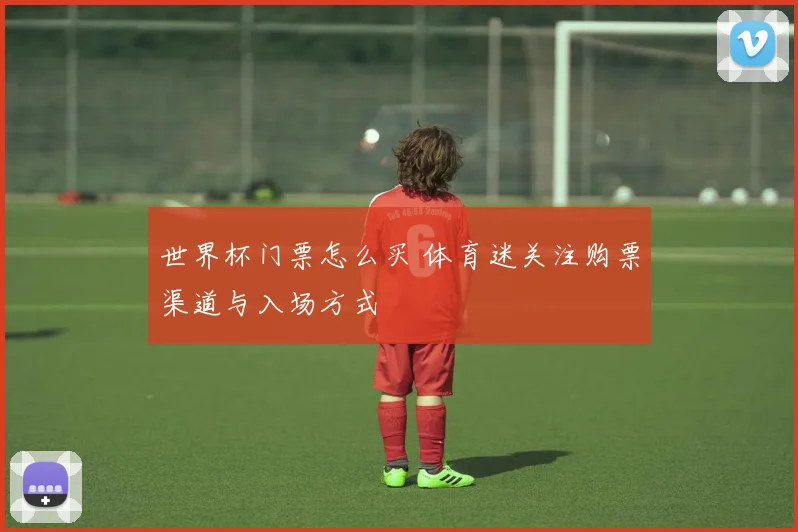 世界杯门票怎么买 体育迷关注购票渠道与入场方式