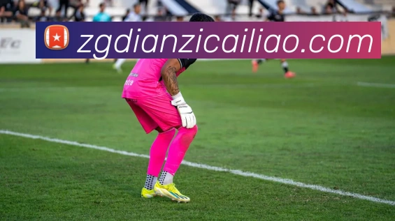 亚搏app注册官网APP 封面图